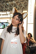 ꡼ No.294 | TGS 2011ϲǹδѵưȤʤäǯTGSAM硼̤äѥ˥̿308Ǻ