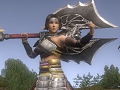 「信長の野望 Online」有料オプションサービス「@モバイル+@Web SP版」のサービスが開始に