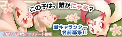 ꡼ No.001Υͥ / ֥סԥ奦ߤοơˤĤ᤬꤬о