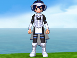 画像ギャラリー No.017のサムネイル画像 / SAGA8で実装されたPK要素撤廃などドミニオン世界が大きく変わる「ECO」。運営スタッフにその仕様変更の真意を聞いてみた