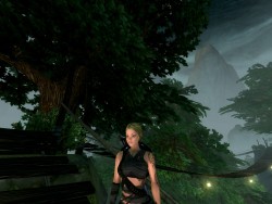 ꡼ No.004 | CBT̵³MMORPG֥ڥܡסOBTظƤCBTŵɲȯɽ