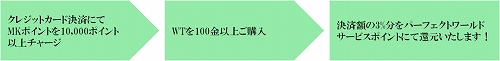 ꡼ No.002Υͥ / Perfect WorldסPWJCɳƥɤͥɤ