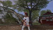 ꡼ No.006 | Blade Chronicle: Samurai Onlineץ٥륭å׳俷ޥåɲäʤɤΥåץǡȤ»