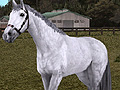 最強馬を生みだせ! 「Gallop Racer ONLINE」に生産システムが実装