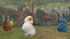 画像ギャラリー No.020のサムネイル画像 / 「MHF」の2012年にかける意気込みを表すため,獣竜種“アビオルグ”と甲殻種“タイクンザムザ”を実装した,「フォワード.3」直前インタビューを掲載