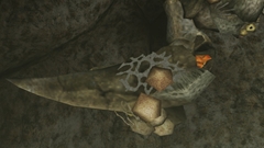 画像ギャラリー No.033のサムネイル画像 / 「MHF」の2012年にかける意気込みを表すため,獣竜種“アビオルグ”と甲殻種“タイクンザムザ”を実装した,「フォワード.3」直前インタビューを掲載