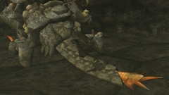 画像ギャラリー No.034のサムネイル画像 / 「MHF」の2012年にかける意気込みを表すため,獣竜種“アビオルグ”と甲殻種“タイクンザムザ”を実装した,「フォワード.3」直前インタビューを掲載