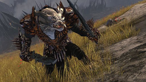 ꡼ No.005 | Ĥ˾󤬸Ϥ᤿Guild Wars 2סǽʥץեåΰġWarriorɤξܺ٤Ȥȯɽ