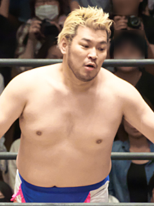 ꡼ No.002Υͥ / ˿ǥΤΥҥҥ硼 439֥ɥ饯ҥ