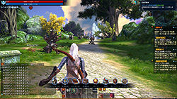 画像ギャラリー No.037のサムネイル画像 / 日本版「TERA」の先行プレイレポートを4Gamerに掲載。次世代MMORPGが誇る“フリーターゲッティング”の実力を図る