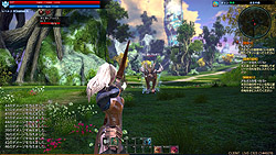 画像ギャラリー No.044のサムネイル画像 / 日本版「TERA」の先行プレイレポートを4Gamerに掲載。次世代MMORPGが誇る“フリーターゲッティング”の実力を図る