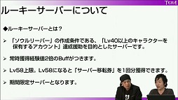 画像集#020のサムネイル/「TERA」開発・運営スタッフインタビュー。エリーン専用の新クラス"ソウルリーパー"などのアップデートについて導入経緯を詳しく聞いた