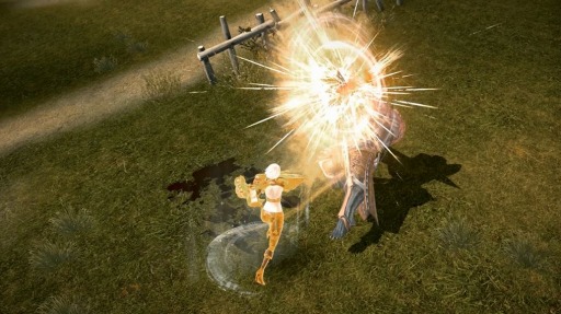 ���������꡼ No.004�Υ���ͥ������ / ��TERA�׿����饹�֥ե��������פξҲ�PV��������ϰϹ���ʤ�¿�̤ʥ�������������