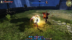 画像ギャラリー No.008のサムネイル画像 / 今回の「C9通信」は,ウィッチブレイドの2次職“ウォーデン”でのPvP指南をお届けしよう。公認ナビゲーター松井氏主催のトーナメント大会にも注目