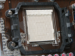 AM3ץåȥեβǽõPhenom X4 810סPhenom II X3 720 Black Editionץӥ塼Ǻ