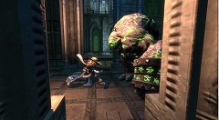 ���������꡼ No.008�Υ���ͥ������ / ��G��2008��23���ԲĻ׵ĤǤʤ���������Danal Entertainment�Υ��������RPG��Wild Hearts��