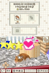 画像集#003のサムネイル/ハムスターファン必見! NDS「ハムスターと暮らそう Best Price」7月9日に発売