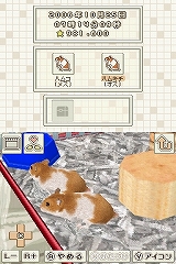 画像集#006のサムネイル/ハムスターファン必見! NDS「ハムスターと暮らそう Best Price」7月9日に発売