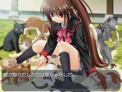 ������#028�Υ���ͥ���/�֥ץ��ȥ����ס��ե��󴶼եǡ�2009�פ�6��20���˽��ո��ǳ���