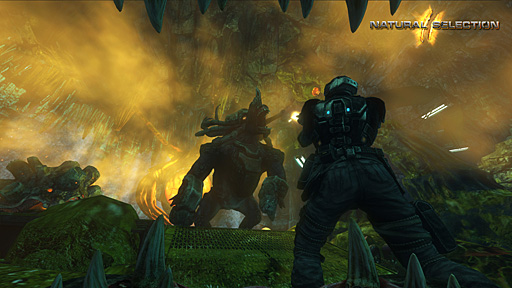 ���������꡼ No.002�Υ���ͥ������ / ���ȥ�ƥ������Ǥ���������FPS��Natural Selection 2�פκǿ��ȥ쥤�顼������