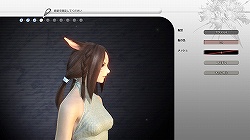 画像ギャラリー No.026のサムネイル画像 / βテストでの進化を隅々までチェック。「FINAL FANTASY XIV」第1回βテスト プレイレポートを大量のSSとともにお届け