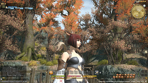 #032Υͥ/ԤΥХMMORPGˤ餱ʤFINAL FANTASY XIVפΥɥեʡľ˸줿FFXIVοˤĤƵľˤʹ