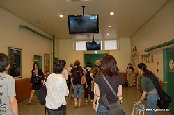 ꡼ No.049Υͥ / ʬϥѥġְ㤤ʤȰãɤ!?ٻεޥϥɤοȥ饯ֹ BASARAפEVANGELIONWORLD-ʪ浡¤ײ-פθƤ