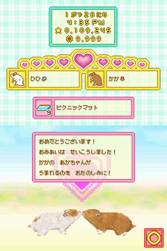 画像ギャラリー No.002のサムネイル画像 / 今度は赤ちゃんも育てられる! 数々の新要素を追加したNDS「ハムスターと暮らそう」の続編が2009年秋に発売決定