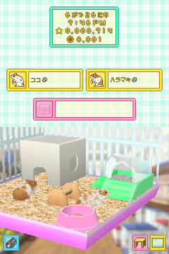 画像ギャラリー No.003のサムネイル画像 / 今度は赤ちゃんも育てられる! 数々の新要素を追加したNDS「ハムスターと暮らそう」の続編が2009年秋に発売決定
