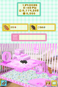 画像ギャラリー No.004のサムネイル画像 / 今度は赤ちゃんも育てられる! 数々の新要素を追加したNDS「ハムスターと暮らそう」の続編が2009年秋に発売決定