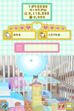 画像ギャラリー No.006のサムネイル画像 / 今度は赤ちゃんも育てられる! 数々の新要素を追加したNDS「ハムスターと暮らそう」の続編が2009年秋に発売決定