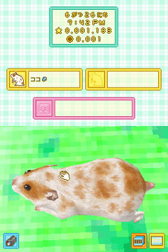 画像ギャラリー No.007のサムネイル画像 / 今度は赤ちゃんも育てられる! 数々の新要素を追加したNDS「ハムスターと暮らそう」の続編が2009年秋に発売決定