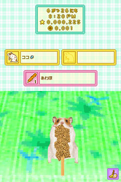 画像ギャラリー No.008のサムネイル画像 / 今度は赤ちゃんも育てられる! 数々の新要素を追加したNDS「ハムスターと暮らそう」の続編が2009年秋に発売決定