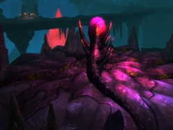 画像ギャラリー No.006のサムネイル画像 / 「Magic World Begins」インスタンスダンジョンやボスモンスターが確認できる,中国語版プロモーションムービーを4GamerにUp