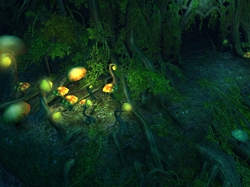 画像ギャラリー No.009のサムネイル画像 / 「Magic World Begins」インスタンスダンジョンやボスモンスターが確認できる,中国語版プロモーションムービーを4GamerにUp