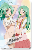 ���������꡼ No.007�Υ���ͥ������ / ����ƥ쥫�⤢�ꡣ�֤Ҥ��餷��ӭ������ ���פ�Ź��ͽ����ŵ������