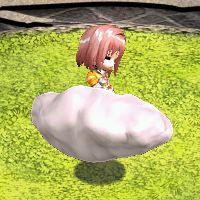 ꡼ No.012Υͥ / Le Ciel Bleu 롦롦֥롼פǽ緿åץǡȡȥԥɤ