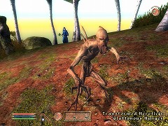 ꡼ No.002Υͥ / ܸ첽줿Shivering IslesפäƤ롪 The Elder Scrolls IV: ֥ӥ Game of the Year Editionפȯ422˷