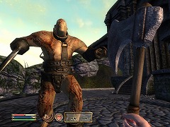 ꡼ No.004Υͥ / ܸ첽줿Shivering IslesפäƤ롪 The Elder Scrolls IV: ֥ӥ Game of the Year Editionפȯ422˷