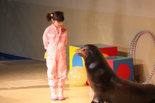 画像ギャラリー No.001のサムネイル画像 / 「みんなの水族館」「ペットショップ物語 DS 2」CM制作の様子を公開