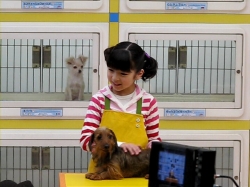 画像ギャラリー No.002のサムネイル画像 / 「みんなの水族館」「ペットショップ物語 DS 2」CM制作の様子を公開