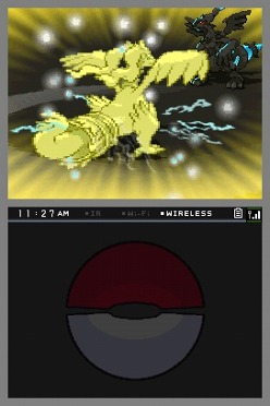 ���������꡼ No.002�Υ���ͥ������ / �֥ݥ����֥�å��פǤϥ������ࡤ�֥ݥ����ۥ磻�ȡפǤϥ쥷��ब������롣���ǤΥݥ����ץ쥼��Ⱦ���