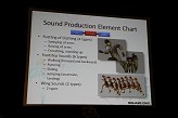 ꡼ No.025 | GDC 2010ϥ󥵡ǲƤΤϤ⤦Ť ֥եʥե󥿥XIIIפǺѤ줿ưƥMASTSפȤ