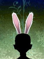 ꡼ No.013Υͥ / ֥ƥ륺    ǥ ޥ3סDLۿ