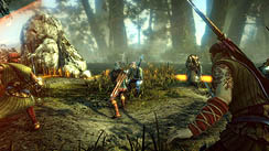꡼ No.004Υͥ / CD ProjektThe Witcher 2: Assassins of Kingsפ2011ǯ517ȯ䡣130ɥΥ쥯ǥ¸ߤ餫