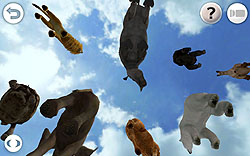 ꡼ No.003 | 3Dǥꥢ˺Ƹ줿ưʪڤREAL ANIMALS HDȯ