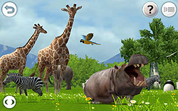 ꡼ No.004 | 3Dǥꥢ˺Ƹ줿ưʪڤREAL ANIMALS HDȯ