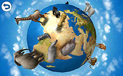 ꡼ No.005 | 3Dǥꥢ˺Ƹ줿ưʪڤREAL ANIMALS HDȯ