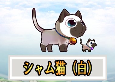 画像ギャラリー No.003のサムネイル画像 / 「ウィローズ」ペットがもらえる出席イベント&経験値アップイベント同時開催