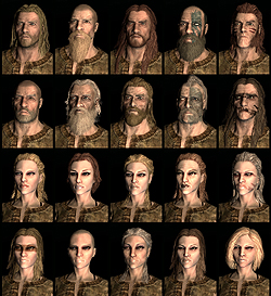 ꡼ No.004 | The Elder Scrolls V: SkyrimץǥθǼºݤ230ʬۤɿäƤΤǡäץ쥤ݡȤϤ